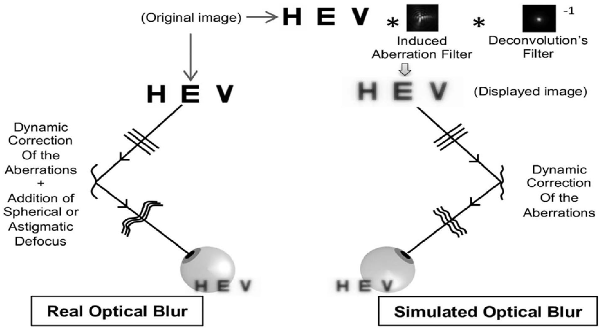 getimagev2 (1)