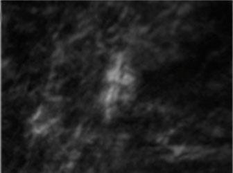 Sin-título-1